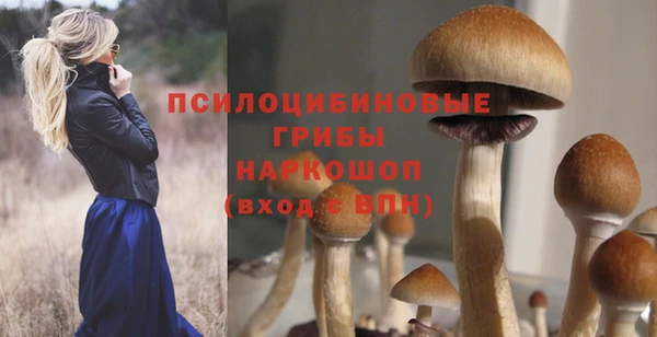 прущая мука Армянск