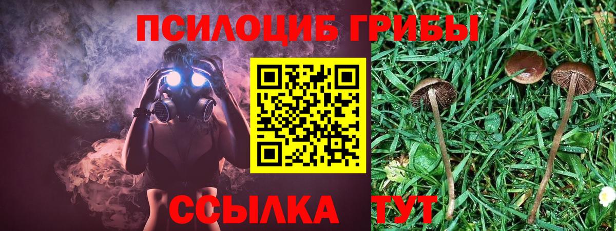 Магнитогорск  Псилоцибиновые грибы мицелий  наркота  Вход с VPN 