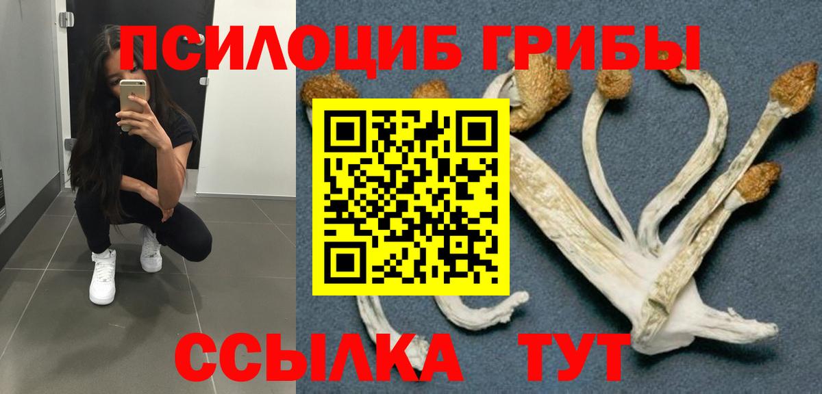 Псилоцибиновые грибы мицелий Магнитогорск