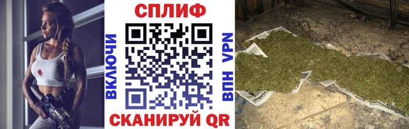 Бошки Шишки конопля  где найти   ОМГ ОМГ рабочий сайт  Магнитогорск 